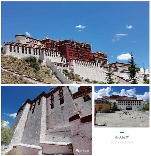 信仰之旅 荣耀之约——中原邦农集团2021西藏王者之旅品鉴