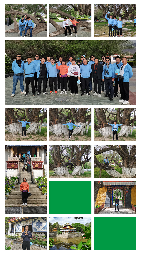 信仰之旅 荣耀之约——中原邦农集团2021西藏王者之旅品鉴