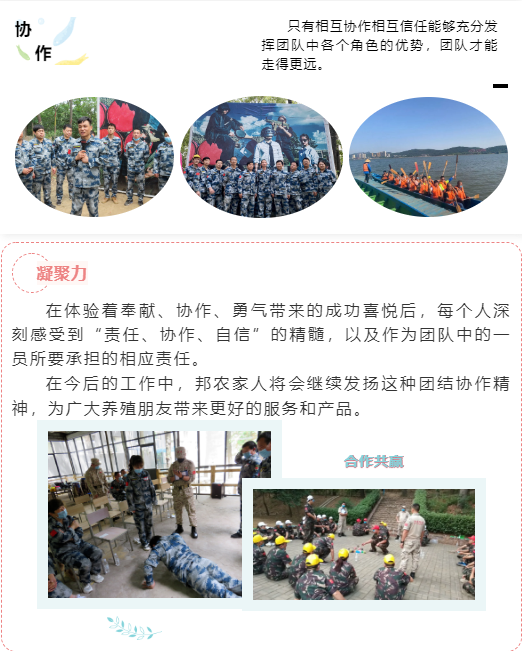 熔炼团队 共赢未来丨大区经理2020烽狼特训拓展活动完美落幕